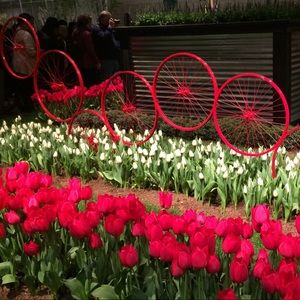 Meet your Posher, Sandra